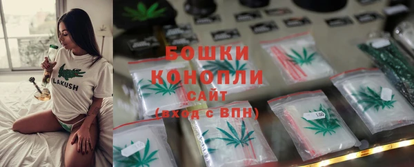 mdpv Богородицк