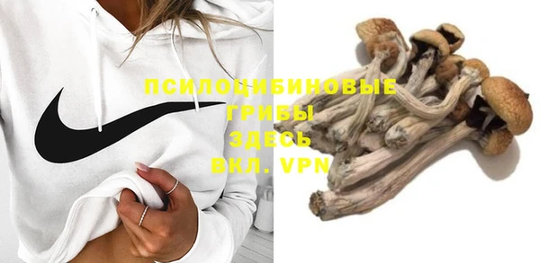 mdpv Богородицк