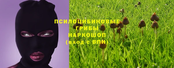 скорость Богданович