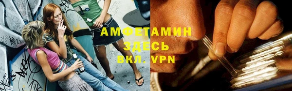 mdpv Богородицк